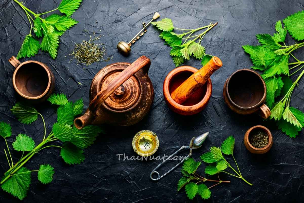 Healing Power of Thai Herbal Remedies