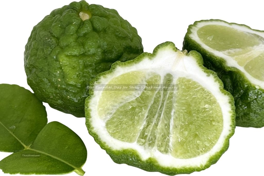 Best Essential Oils for Stress Relief and Anxiety (3) Best Essential Oils for Stress Relief and Anxiety