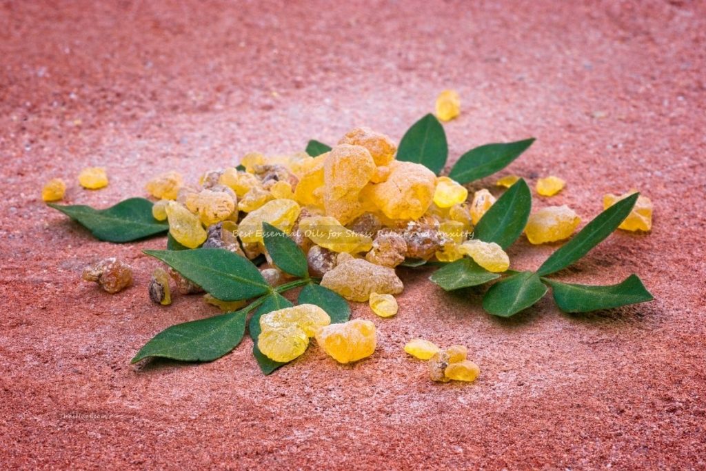 Best Essential Oils for Stress Relief and Anxiety (7) Best Essential Oils for Stress Relief and Anxiety