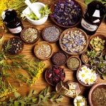 Top 10 Thai Herbal Remedies for Natural Healing at Home Top 10 Thai Herbal Remedies for Natural Healing at Home
