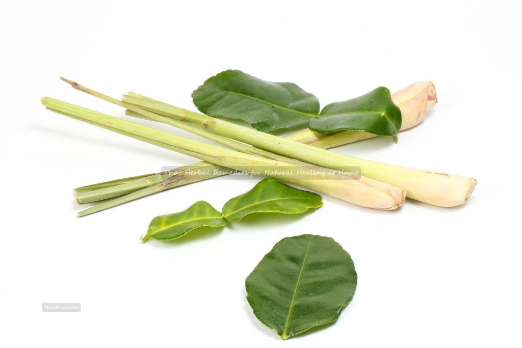 Thai Herbal Remedies for Natural Healing at Home (2) Thai Herbal Remedies for Natural Healing at Home