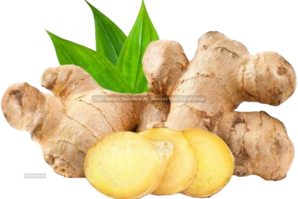 Thai Herbal Remedies for Natural Healing at Home (3) Thai Herbal Remedies for Natural Healing at Home