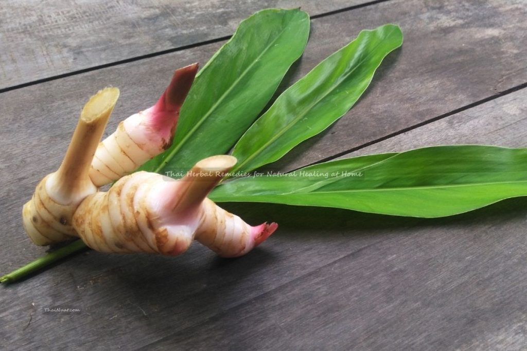 Thai Herbal Remedies for Natural Healing at Home (5) Thai Herbal Remedies for Natural Healing at Home
