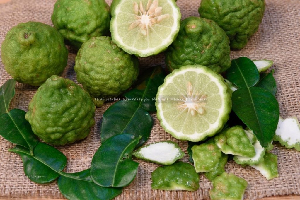 Thai Herbal Remedies for Natural Healing at Home (7) Thai Herbal Remedies for Natural Healing at Home