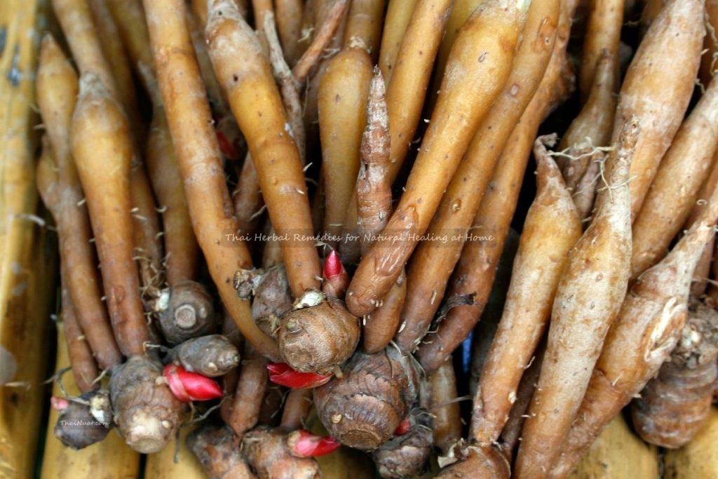 Thai Herbal Remedies for Natural Healing at Home (9) Thai Herbal Remedies for Natural Healing at Home