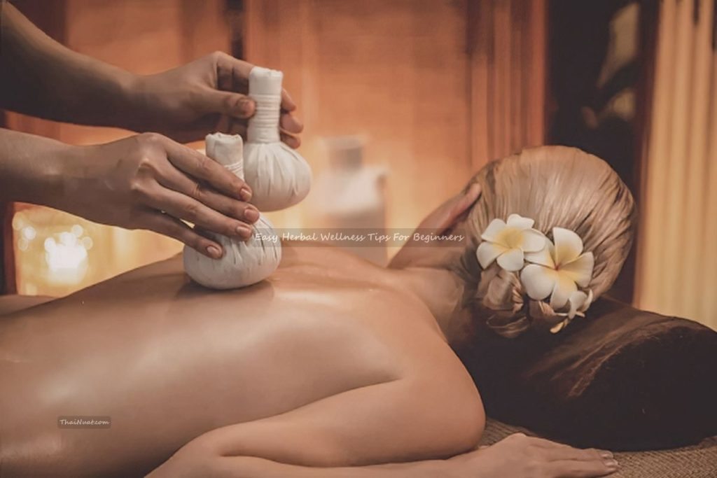 Easy Herbal Wellness Tips For Beginners (1) Easy Herbal Wellness Tips For Beginners