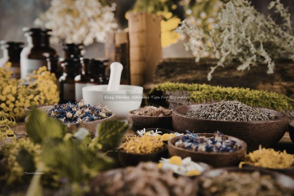 Easy Herbal Wellness Tips For Beginners Easy Herbal Wellness Tips For Beginners