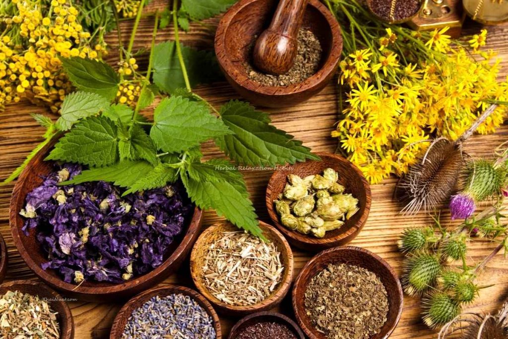 Herbal Relaxation Habits (1) Herbal Relaxation Habits