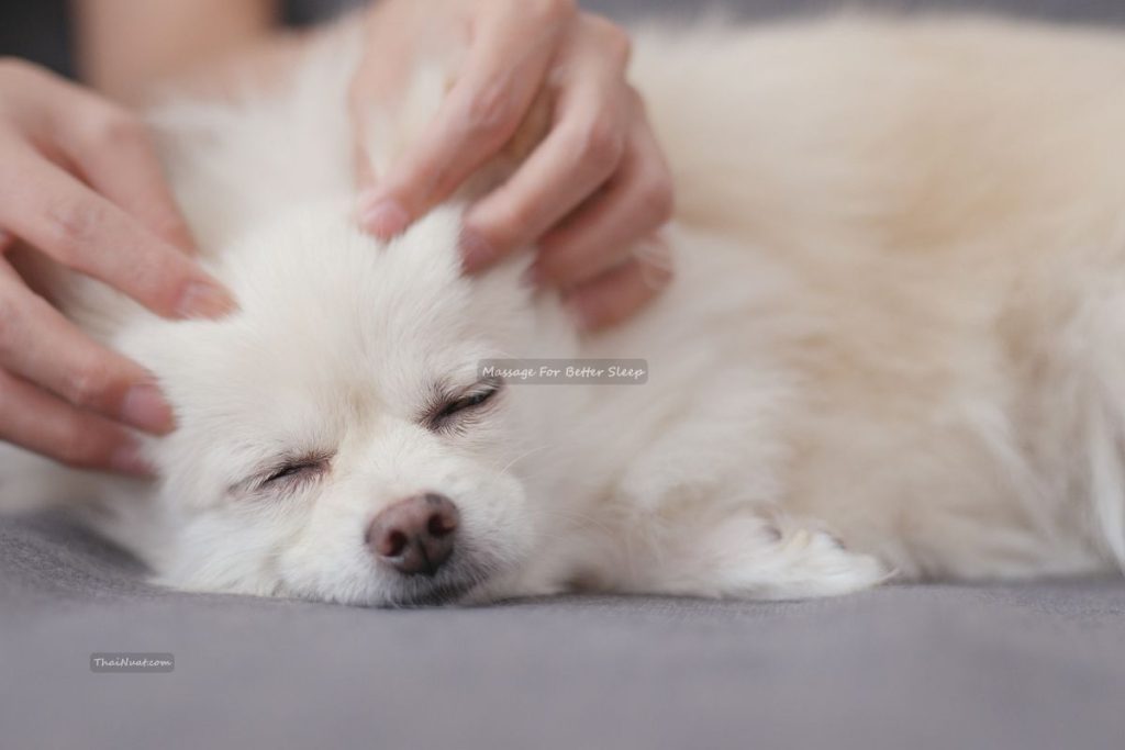 Massage For Better Sleep